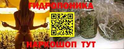 метадон Гатчина