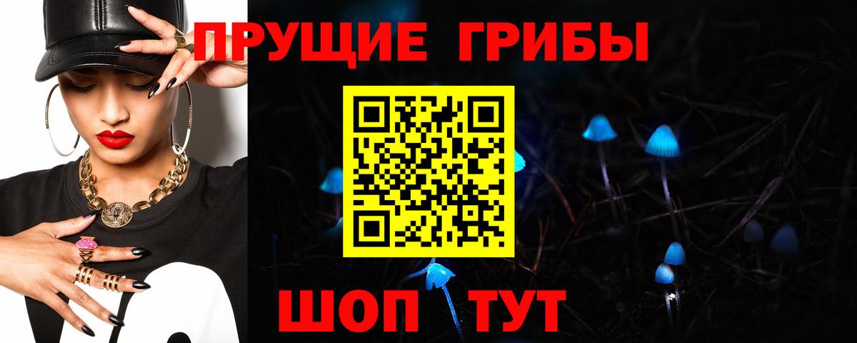 Псилоцибиновые грибы Psilocybe Можга